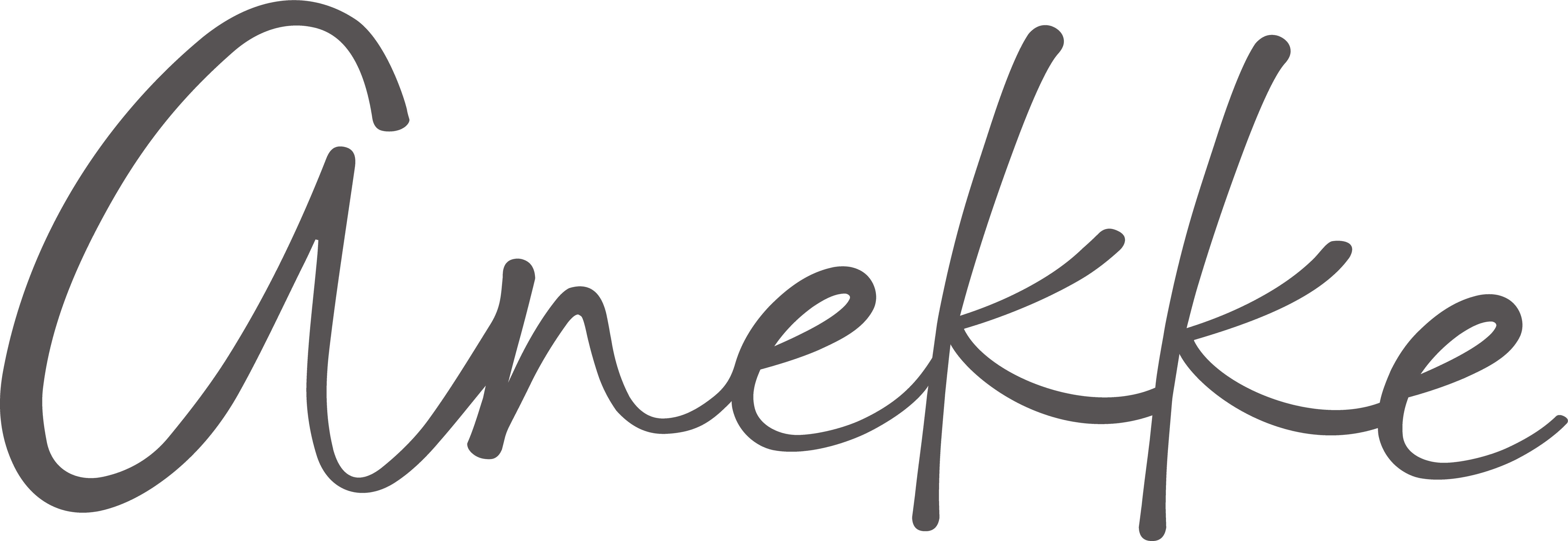 Anekke Help Center home page